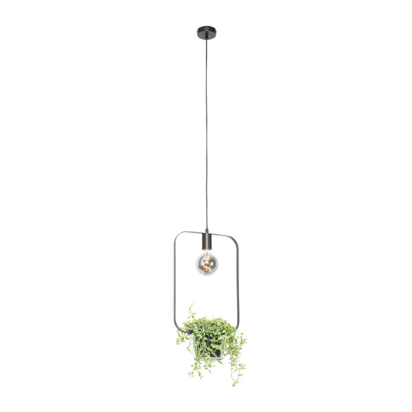 Moderne hanglamp zwart met glas rechthoekig - Roslini - Afbeelding 2