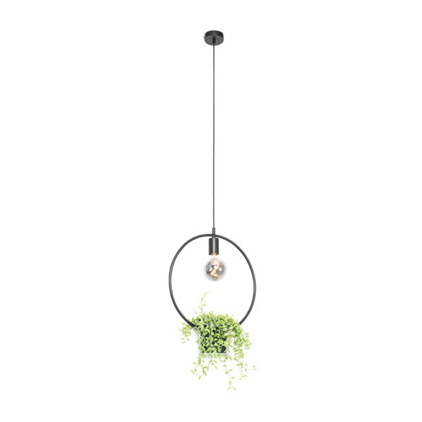 Moderne hanglamp zwart met glas rond - Roslini - Afbeelding 2
