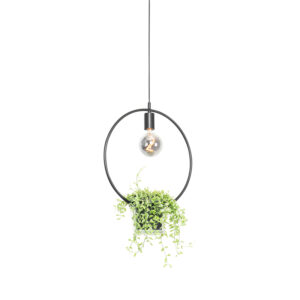 hanglampen Moderne hanglamp zwart met glas rond Roslini StaalGlas Zwart Heb je geen plaats meer voor leuke planten in Dan is de Deze ronde komt inclusief