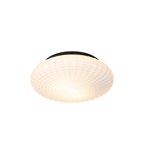 plafondlampen buiten Klassieke plafondlamp zwart met opaal glas 35 cm IP44 Nohmi GlasStaal Wit Een duurzame in een klassiek is perfecte basislamp al jouw