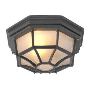 plafondlampen buiten Landelijke plafondlamp donkergrijs IP44 Bri L AluminiumGlas Donkergrijs Topkwaliteit buitenlamp is deze bestaande uit glas en aluminium in