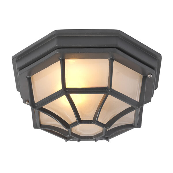 plafondlampen buiten Landelijke plafondlamp donkergrijs IP44 Bri L AluminiumGlas Donkergrijs Topkwaliteit buitenlamp is deze bestaande uit glas en aluminium in