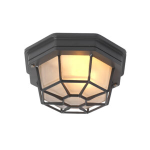plafondlampen buiten Landelijke plafondlamp donkergrijs IP44 Bri S AluminiumGlas Donkergrijs Topkwaliteit buitenlamp is deze bestaande uit glas en aluminium in