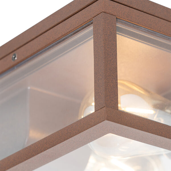 Industriële plafondlamp roestbruin IP44 2-lichts - Charlois - Afbeelding 2