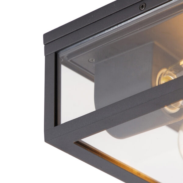 Industriële plafondlamp zwart IP44 2-lichts - Charlois - Afbeelding 2