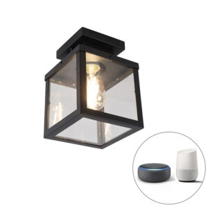 plafondlampen buiten smart buitenplafondlamp zwart incl. ST64 Wifi Rotterdam GlasRoestvrij staal Zilver Ga voor een look in je tuin met Rotterdam. Deze