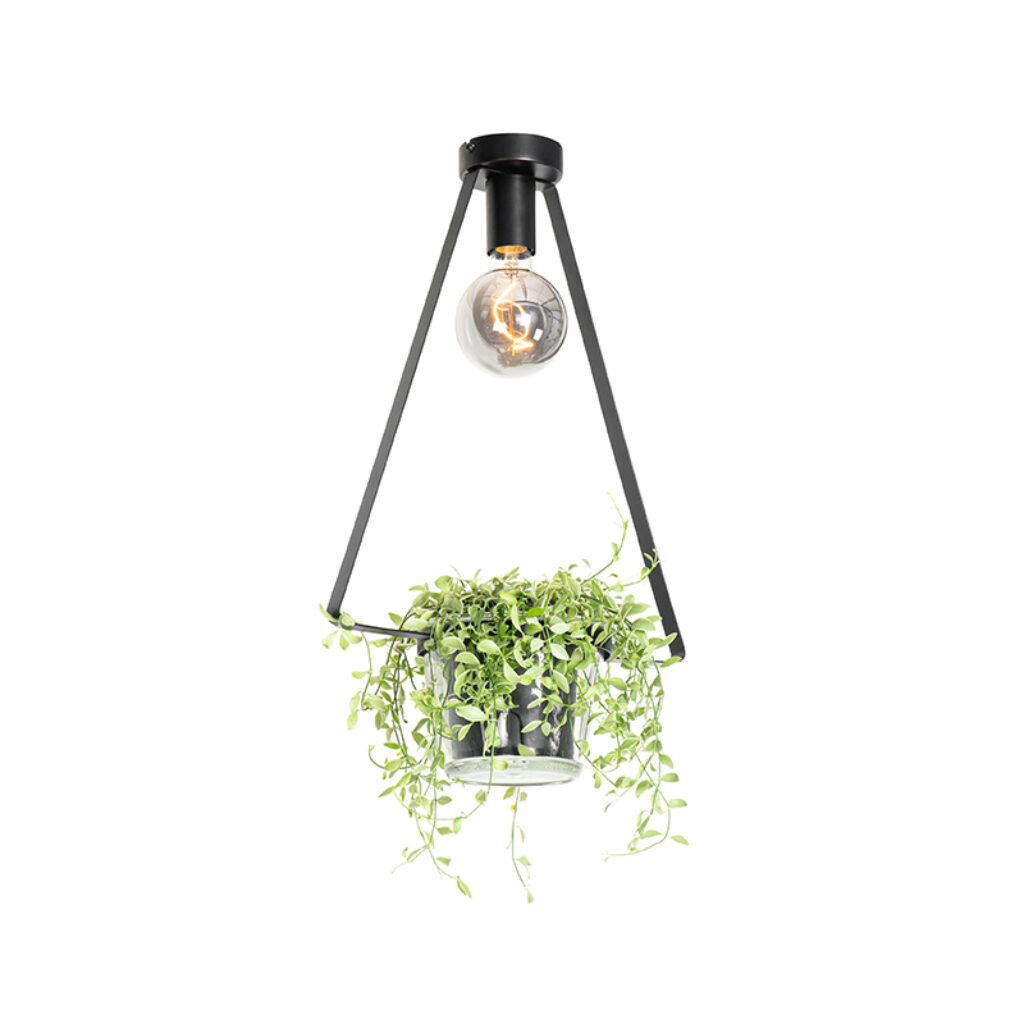 plafondlampen Moderne plafondlamp zwart met glas driehoek Roslini StaalGlas Zwart Voeg wat groen toe aan je interieur Deze moderne heeft een glazen bloempot de