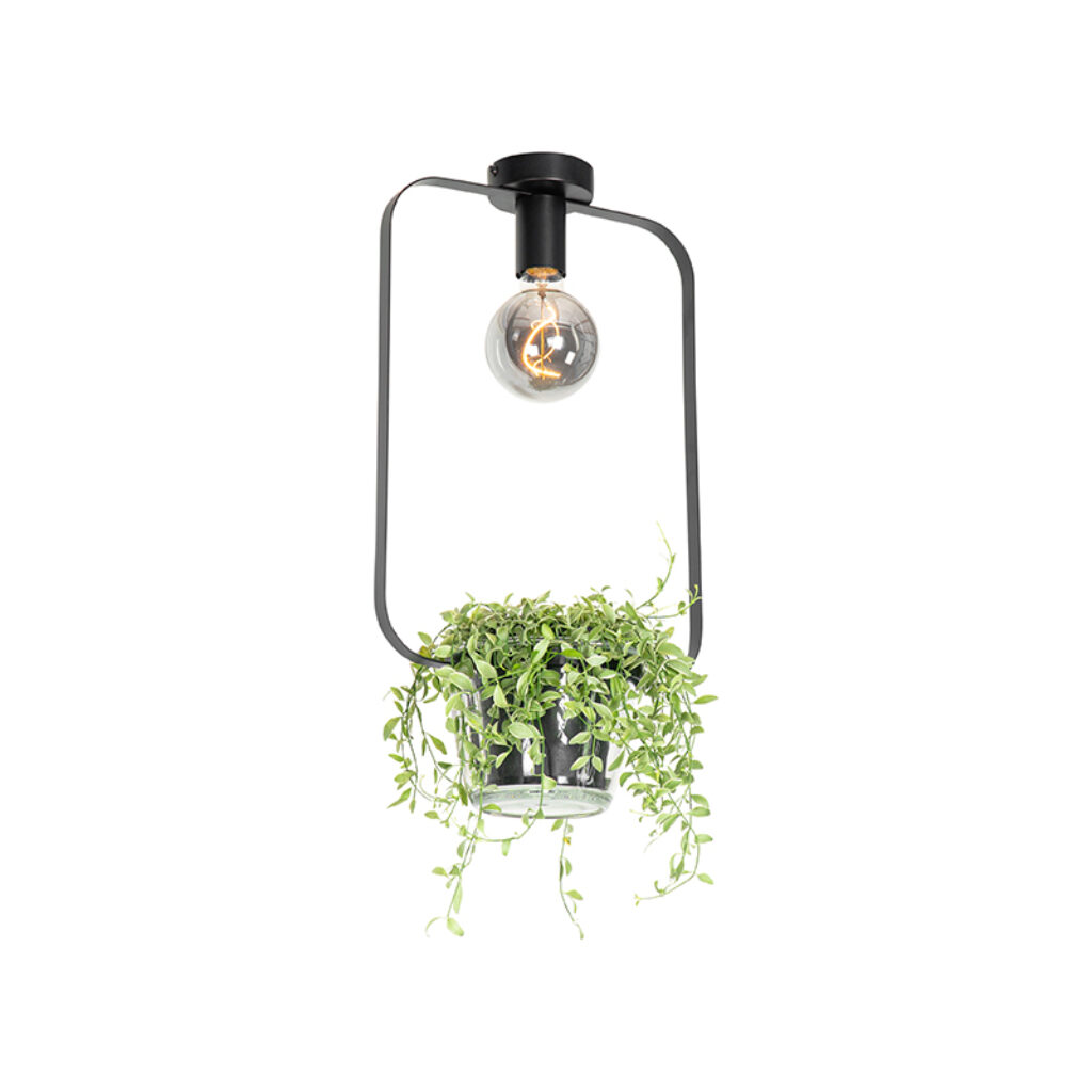plafondlampen Moderne plafondlamp zwart met glas rechthoekig Roslini StaalGlas Zwart Voeg wat groen toe aan je interieur Deze moderne heeft een glazen bloempot