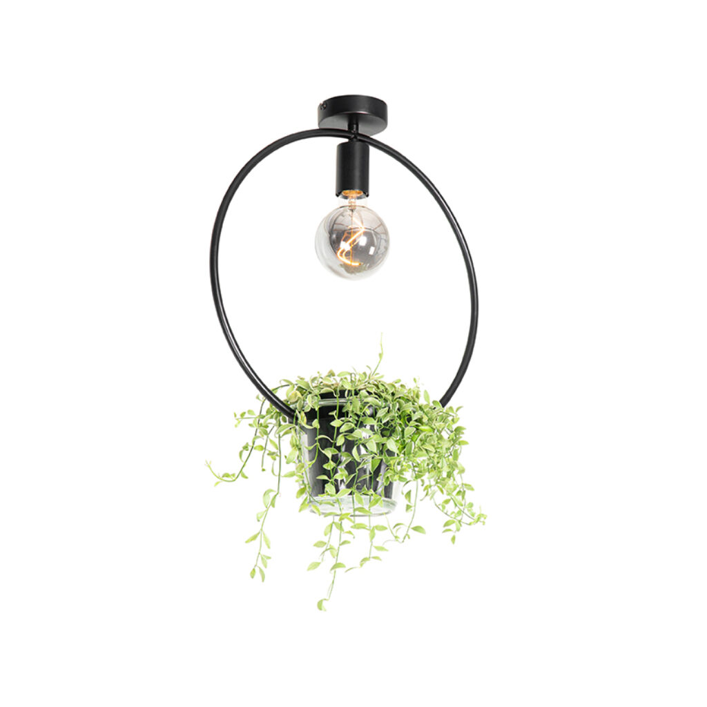 plafondlampen Moderne plafondlamp zwart met glas rond Roslini StaalGlas Zwart Voeg wat groen toe aan je interieur Deze moderne heeft een glazen bloempot de