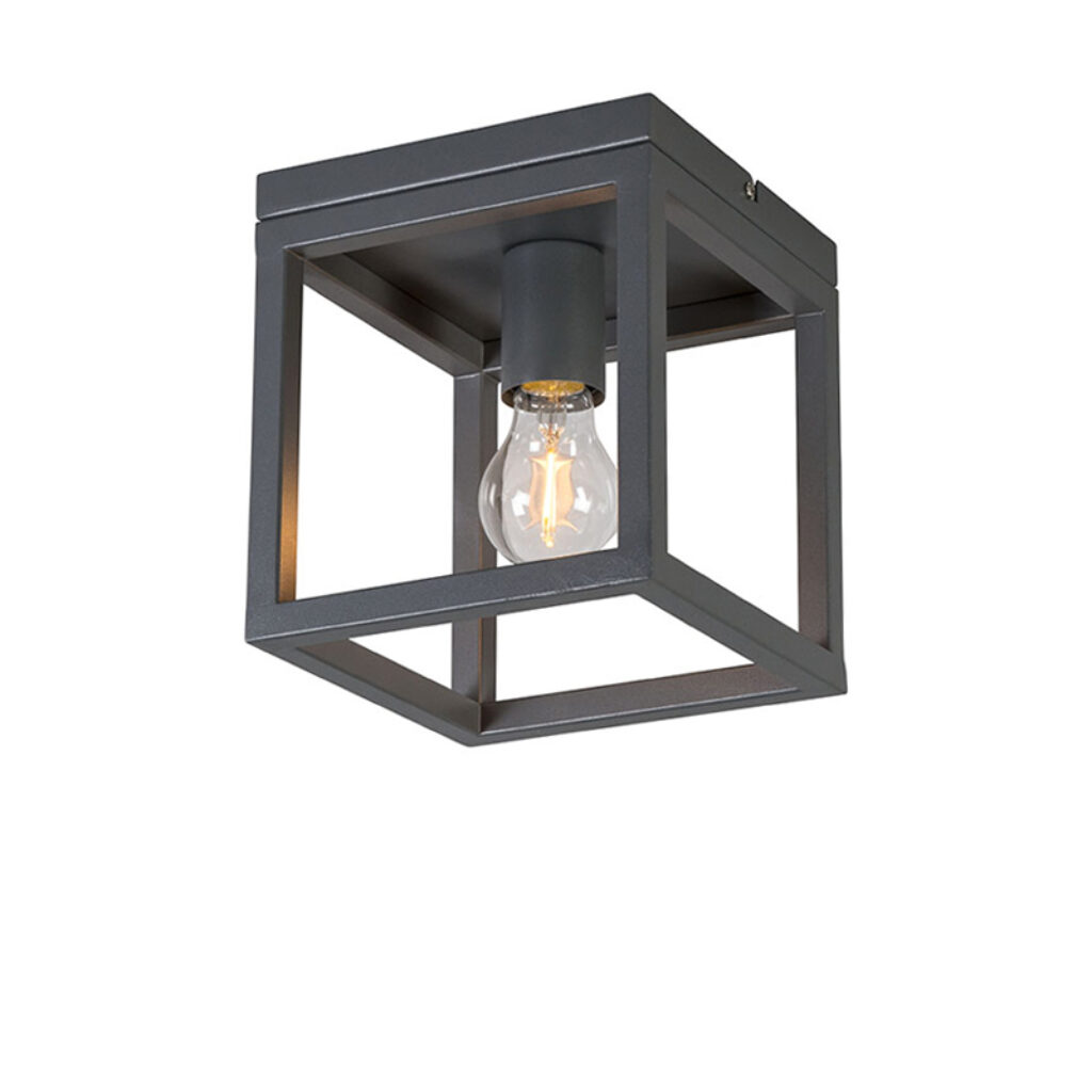 plafondlampen plafondlamp antraciet Cage 1 Staal Donkergrijs Lekker luchtig ontwerp met een sterk minimalistisch beeld kies je ook voor deze stijlvolle Jouw