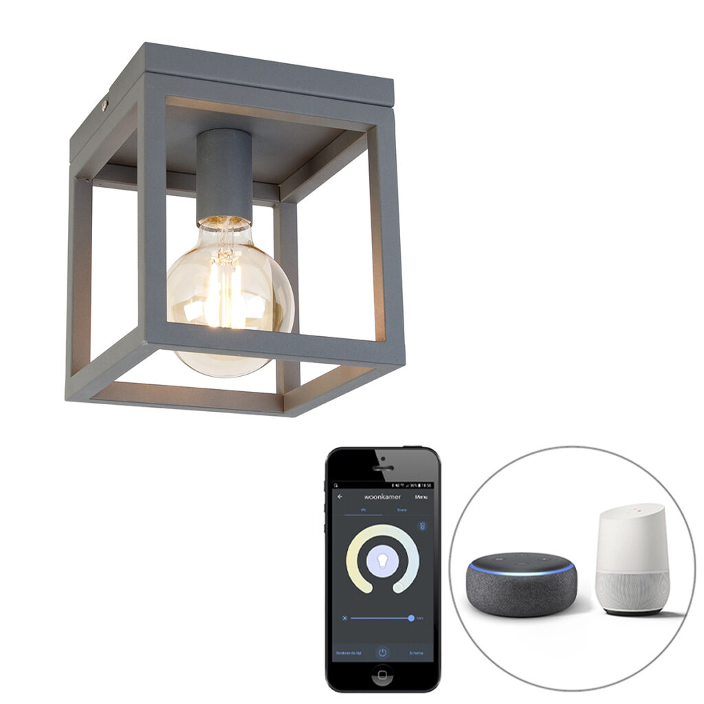 plafondlampen smart plafondlamp donkergrijs incl. Wifi G95 Cage Staal Donkergrijs