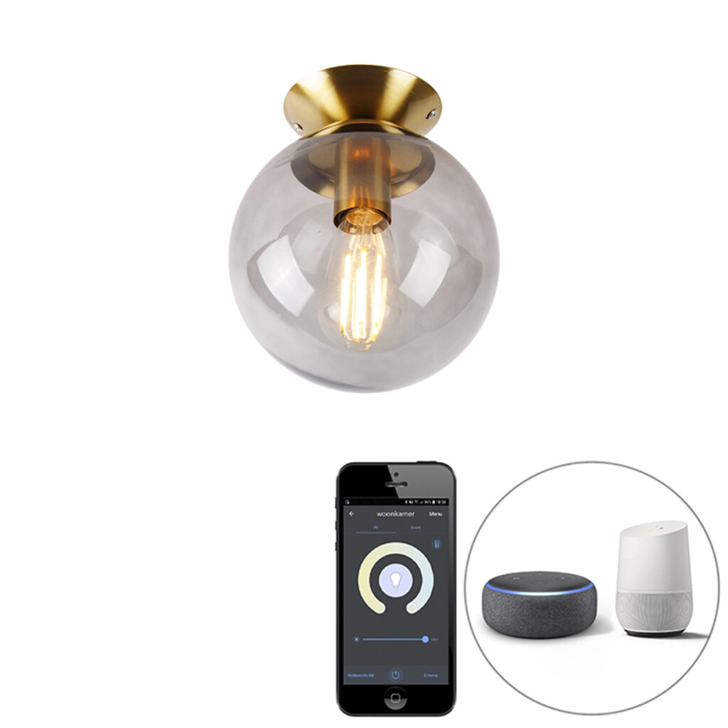 plafondlampen Smart plafondlamp messing met smoke glas incl. Wifi ST64 Pallon GlasStaal
