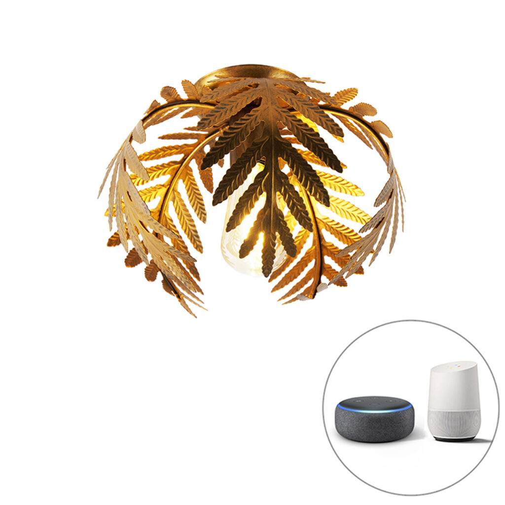 plafondlampen Vintage smart plafondlamp goud 24 cm incl. WiFi ST64 Botanica Staal Deze komt uit de serie Botanica. is helemaal volgens laatste trend en