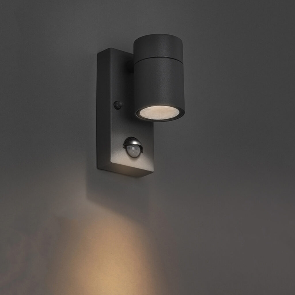 sensorlampen Buitenwandlamp antraciet IP44 met bewegingssensor Solo Roestvrij staal Donkergrijs Deze wandlamp Duo is een super functionele buitenlamp strakke