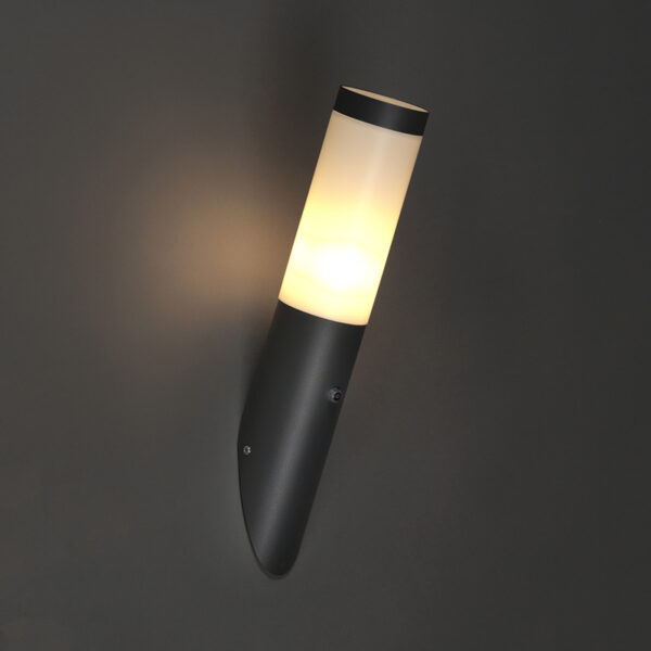 sensorlampen Moderne buitenwandlamp donker grijs sensor IP44 Rox Roestvrij staal Donkergrijs Met buitenlamp versier je met gemak jouw tuinmuren. De donkere en