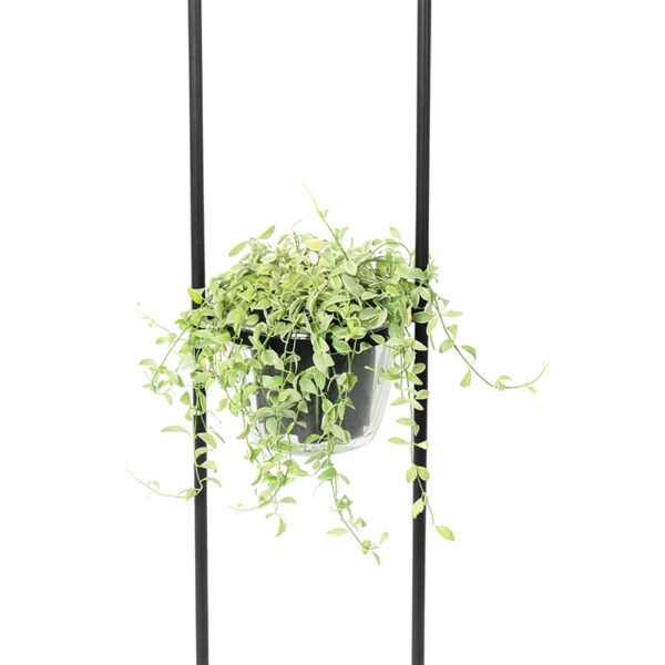 Moderne vloerlamp zwart met glas 25 cm - Roslini - Afbeelding 2