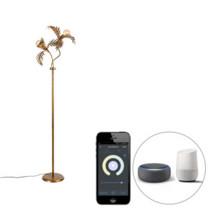 vloerlampen Smart vloerlamp goud incl. Wifi G95 Botanica Staal