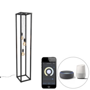 vloerlampen Smart vloerlamp zwart incl. Wifi G95 Big Cage StaalTouw Zwart