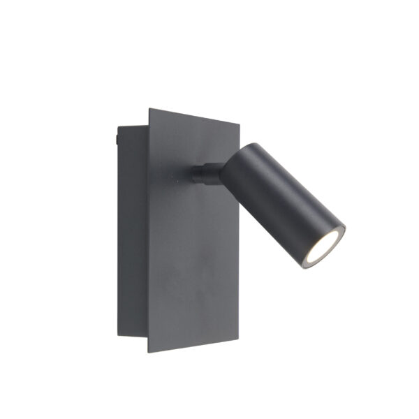 wandlampen buiten Moderne wandlamp grijs IP54 incl. LED Simon Staal Donkergrijs Buiten zorgt voor een veilige tuin. is gemaakt van staal en afgewerkt in het