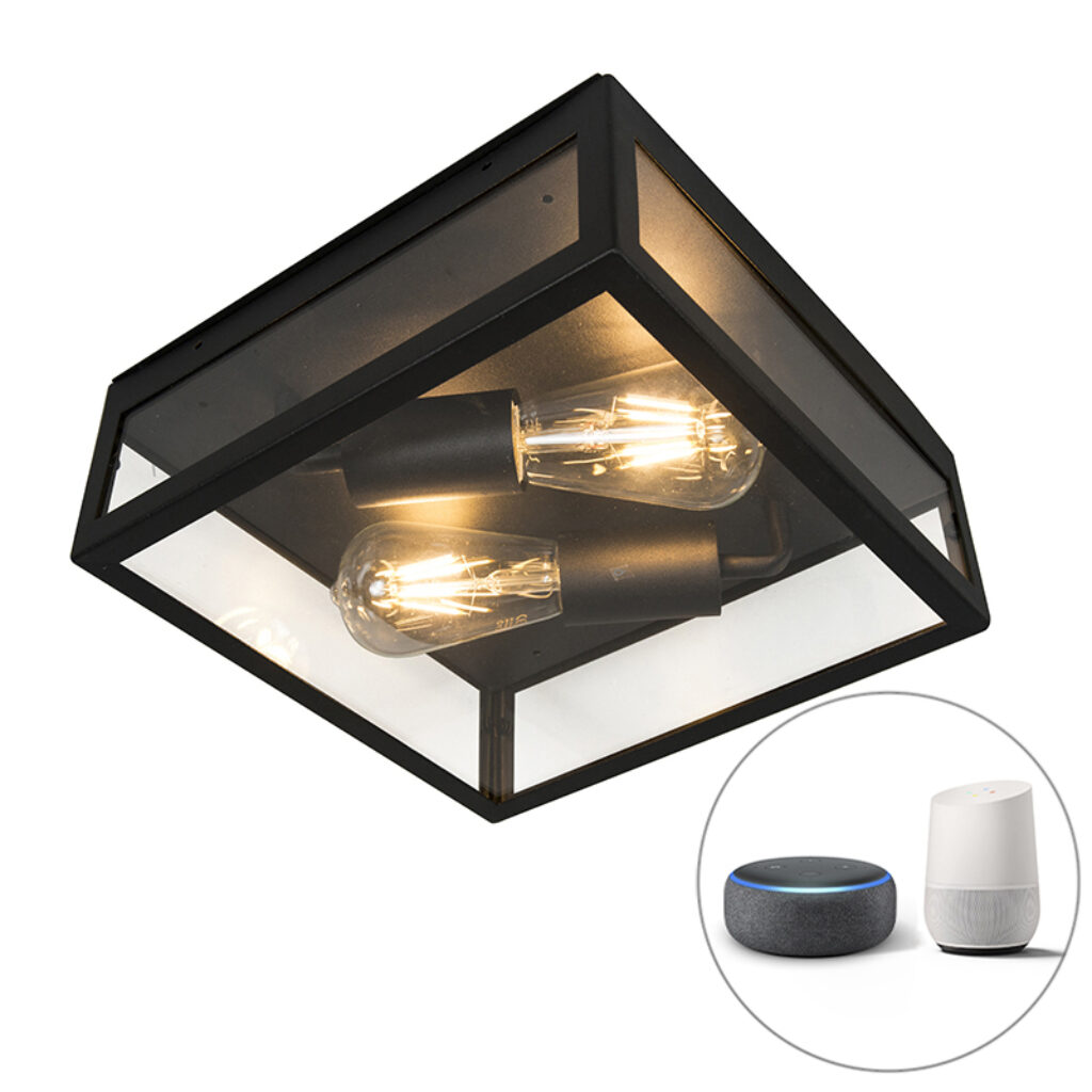 wandlampen buiten smart buitenplafondlamp zwart incl. 2 WiFi ST64 Rotterdam Roestvrij staal Zwart Deze buitenlamp is een strakke plafondlamp. Hij bestaat uit