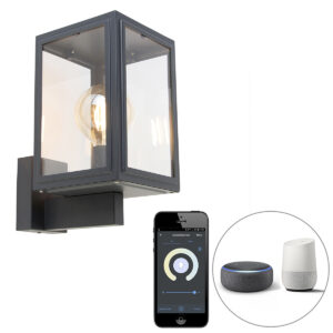 wandlampen buiten Smart buitenwandlamp grijs incl. G95 Sutton Up Roestvrij staal Donkergrijs De is een stijlvolle wandlamp voor buiten. gemaakt van RVS met glas