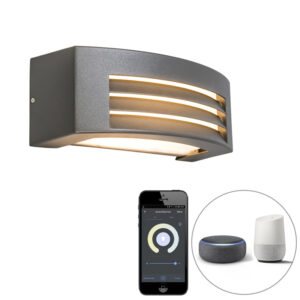 wandlampen buiten Smart wandlamp antraciet IP44 incl. Wifi P45 Hurricane 1 AluminiumKunststof Donkergrijs
