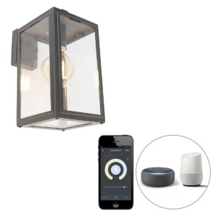 wandlampen buiten Smart wandlamp grijs incl. Wifi Sutton down Roestvrij staal Donkergrijs Wandlamp is een klassieker onder de wandlampen. Door zijn glazen