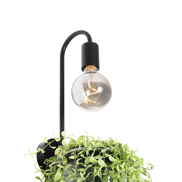 Moderne wandlamp zwart met glas - Roslini - Afbeelding 2