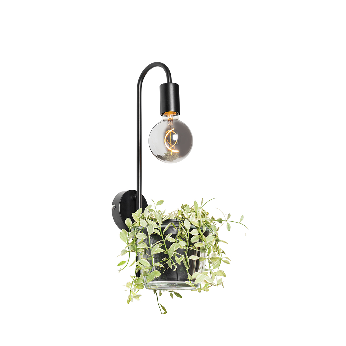 wandlampen Moderne wandlamp zwart met glas Roslini StaalGlas Zwart Zet jouw favoriete plant in de spotlights Deze lamp en bloempot zorgt voor meer groen