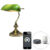 Smart tafellamp messing met groen glas incl. Wifi P45 – Banker